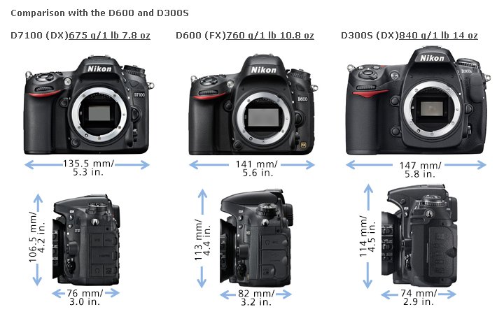 d7100 vs d600